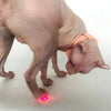 Automatic Laser Teasing Cat Collar Toy