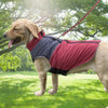 Warm Winter Pet Dog Clothes Waterproof