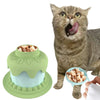 4-in-1 Multifunction Pet Cat Bowls