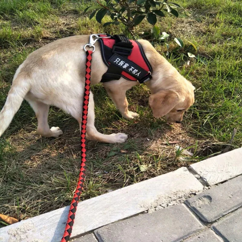 Strong Dog Leash