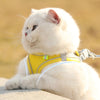 Pet Cat Reflective Harness Vest Leash Set