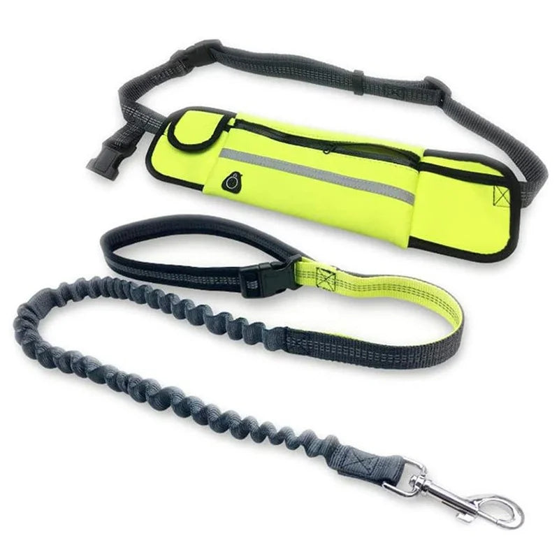 Hands Free Dog Leash for Running