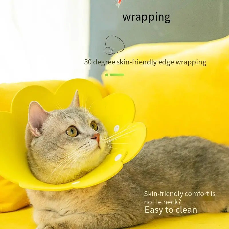 Sunflower Shaped Pet Cat Recovery Collar