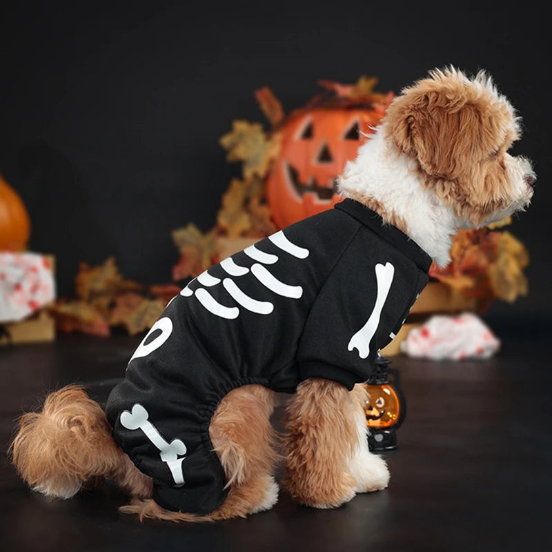 Halloween Dog Skeleton Costumes