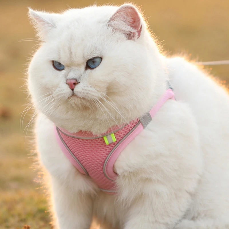 Pet Cat Reflective Harness Vest Leash Set