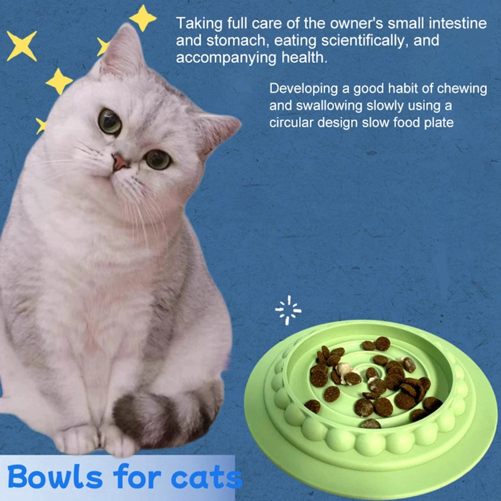 4-in-1 Multifunction Pet Cat Bowls