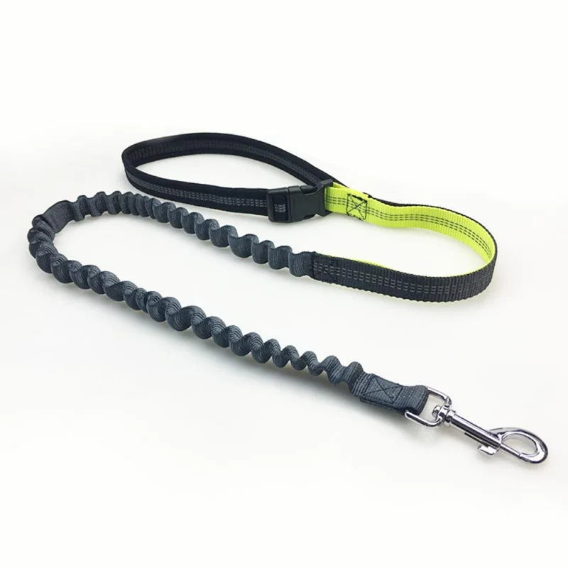 Hands Free Dog Leash for Running