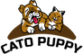 cato-puppy